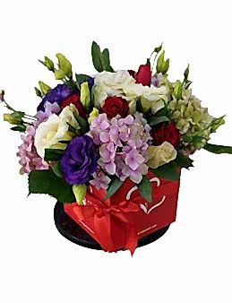 istanbul  kutuda çiçek