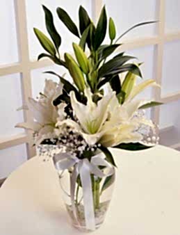 Beyaz Lilyumun Zarafeti  çiçek gönder