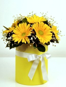 Alman Papatyam  çiçek gönder