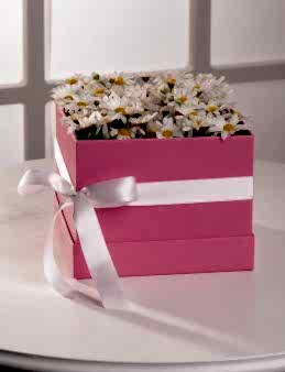 Papatyaların Gizemi Kutuda Çiçek çiçek gönder