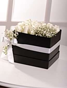 Asil Beyaz  çiçek gönder