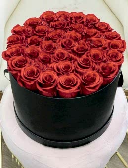 istanbul  kutuda çiçek