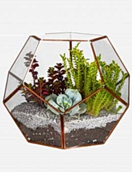 Huzur Dolu Teraryum Terarium çiçek gönder