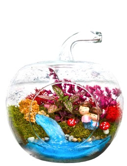 Çocukluk Hatırası Yapay Teraryum Terarium çiçek gönder