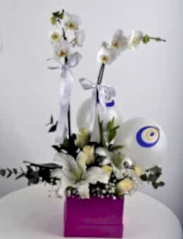 Güzel Bir Başlangıç Orkide Çiçeği  çiçek gönder