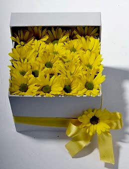 Bahar Özlemi Kır Çiçeği Kutuda Çiçek çiçek gönder