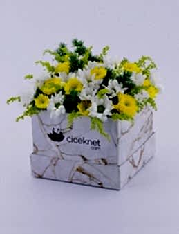 Mermer Desenli Kutuda Bahar Aranjmanı  çiçek gönder