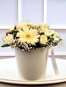 Beyaz Meleğime  çiçek gönder