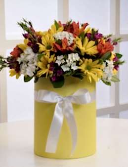 Kır Bahçesi  çiçek gönder