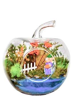 Bir Ömür Yapay Teraryum Terarium çiçek gönder