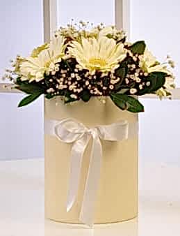Kutuda Beyaz Gerberalar Kutuda Çiçek çiçek gönder