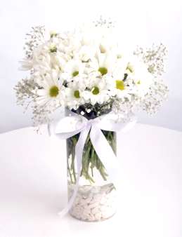 Papatya Küresi  çiçek gönder