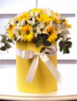 Sarı Bahar Rüzgarı  Kutuda Çiçek çiçek gönder