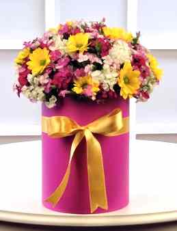 Baharın Gelişi  çiçek gönder