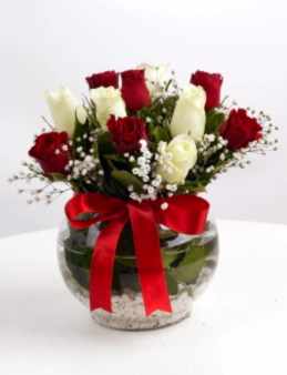 Aşk Küresi Kırmızı Beyaz Güller  çiçek gönder