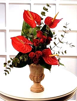 Aşkın Adı  çiçek gönder