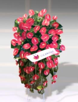 Kırmızı Antoryumlu Ferforje  çiçek gönder