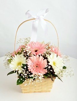 Sepette Gerbera Aranjmanı  çiçek gönder