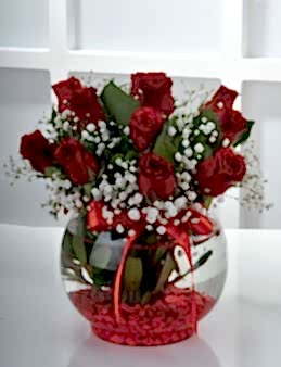 Aşk Küresi 11 Kırmızı Gül  çiçek gönder