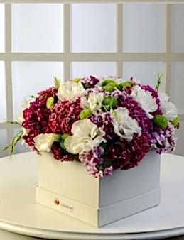 Ada Sahilleri  çiçek gönder