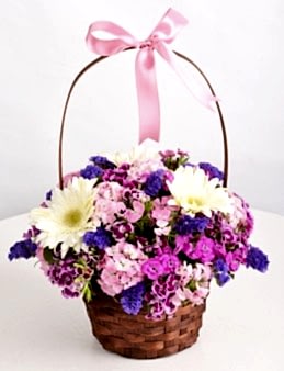 Sepette Kır Çiçeği Aranjmanı.  çiçek gönder