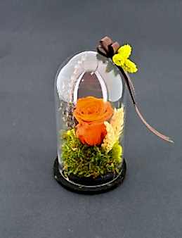 Yeter ki Gül Sevgilim Solmayan Güller  çiçek gönder