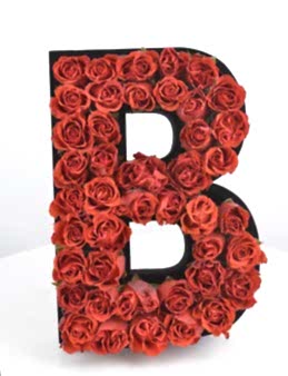 Çılgın Aşk Kişiye Özel Kırmızı Güllerden Harf  çiçek gönder