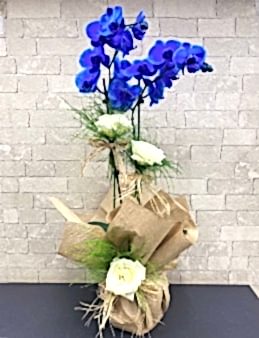 MAVİ ORKİDE Orkideler çiçek gönder