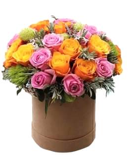 istanbul  kutuda çiçek