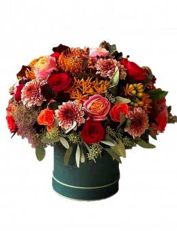 istanbul  kutuda çiçek