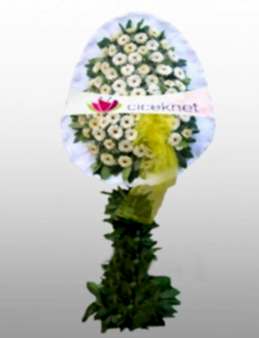 Beyaz Gerberalardan Gelin Duvağı.  çiçek gönder