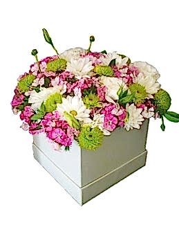 istanbul  kutuda çiçek