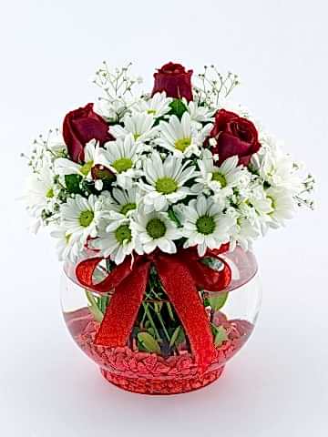 Sihirli Kürede Aşk  Aranjmanlar çiçek gönder