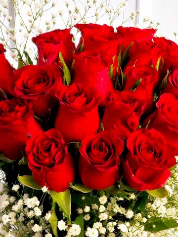 Aşkımsın Aranjmanlar çiçek gönder