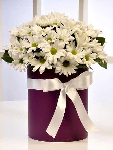 Papatya Güzeli Kutuda Çiçek çiçek gönder