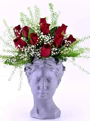 Helen Saksıda 11 Kırmızı Gül Aranjmanlar çiçek gönder