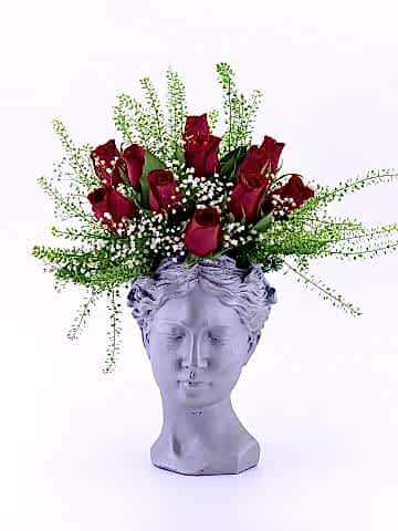 Helen Saksıda 11 Kırmızı Gül Aranjmanlar çiçek gönder