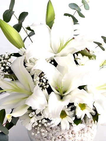 Lilyum Zarafeti. Aranjmanlar çiçek gönder
