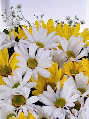 Kış Güneşi Kır Çiçekleri Aranjmanlar çiçek gönder