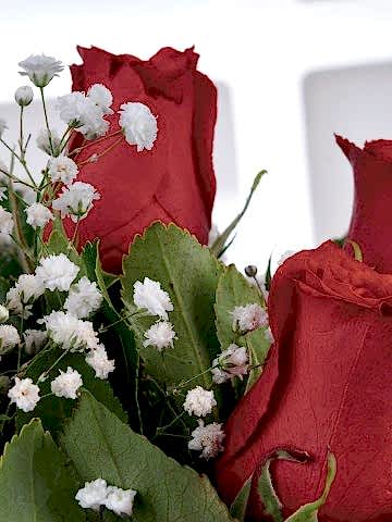 Aşkın Adı 9 Kırmızı Gül Arajmanı Aranjmanlar çiçek gönder