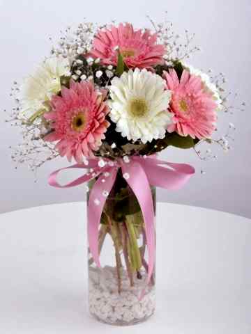 Hayallerimin  Prensesi Gerbera Çiçek Arajmanı Aranjmanlar çiçek gönder