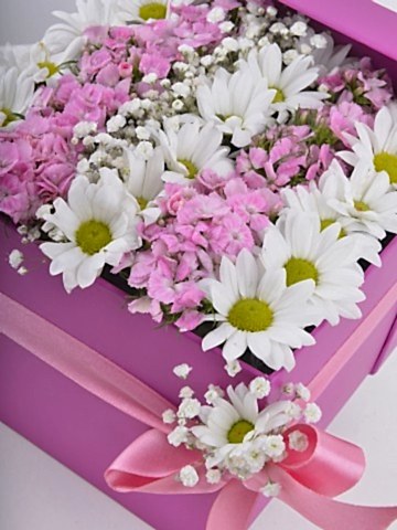 Özel Kutuda Baharın Gelişi Kır Çiçeği Arajmanı. Kutuda Çiçek çiçek gönder