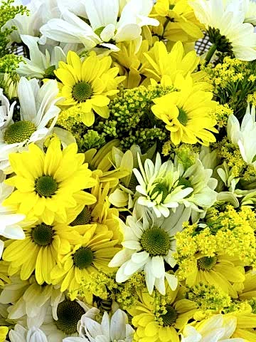 Kış Güneşi Kır Buketi Buketler çiçek gönder