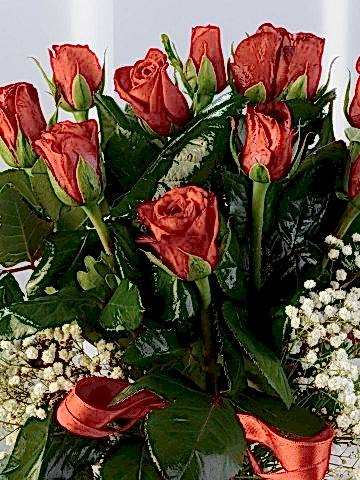 Camda 11 Adet Kırmızı Gül. Aranjmanlar çiçek gönder