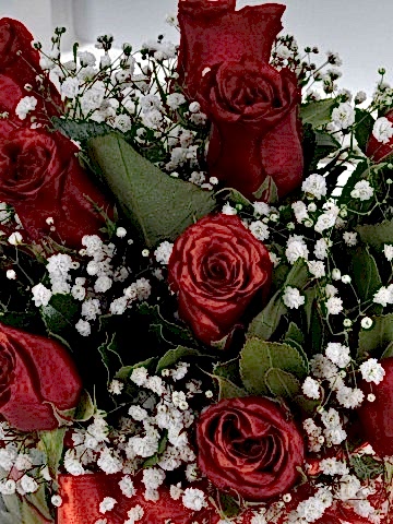 Aşk Küresi 11 Kırmızı Gül Aranjmanlar çiçek gönder