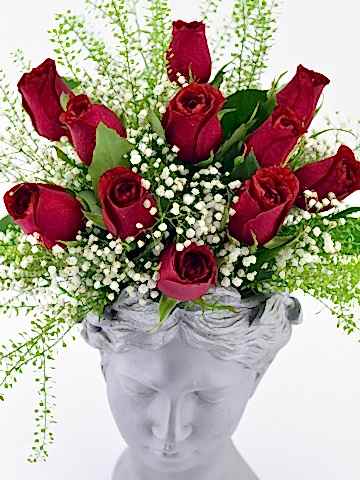 Helen Saksıda 11 Kırmızı Gül Aranjmanlar çiçek gönder