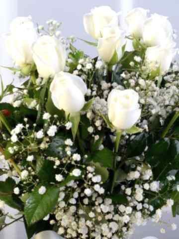 Amfora Camda 11 Beyaz Gül Aranjmanlar çiçek gönder