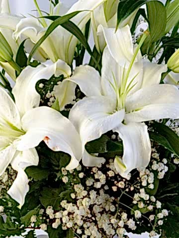 Beyaz Lilyum Aranjmanı Aranjmanlar çiçek gönder