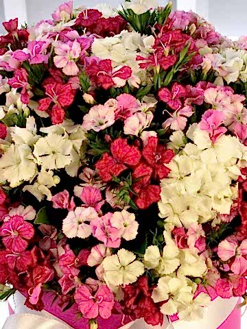 Rengarenk Kutuda Çiçek çiçek gönder